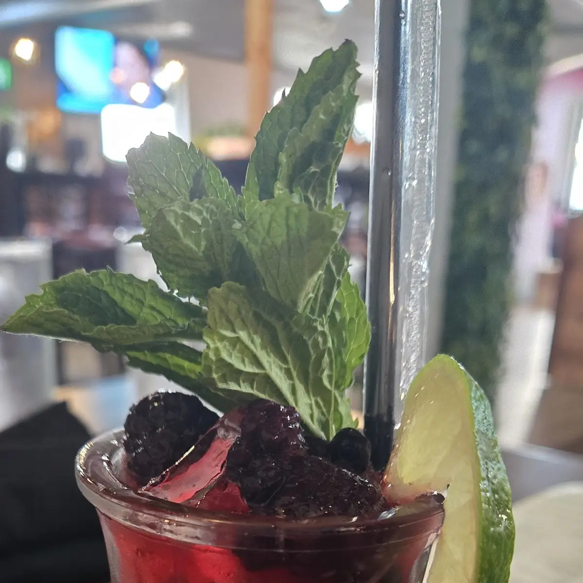 Mixed Berry Mojito