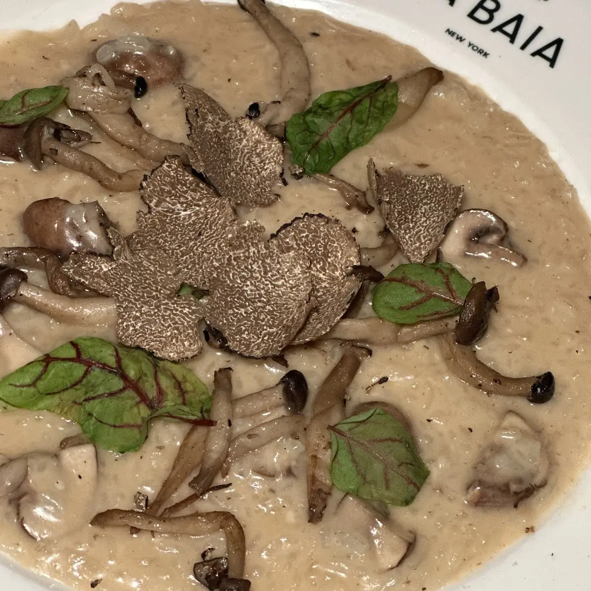 Mushroom Risotto