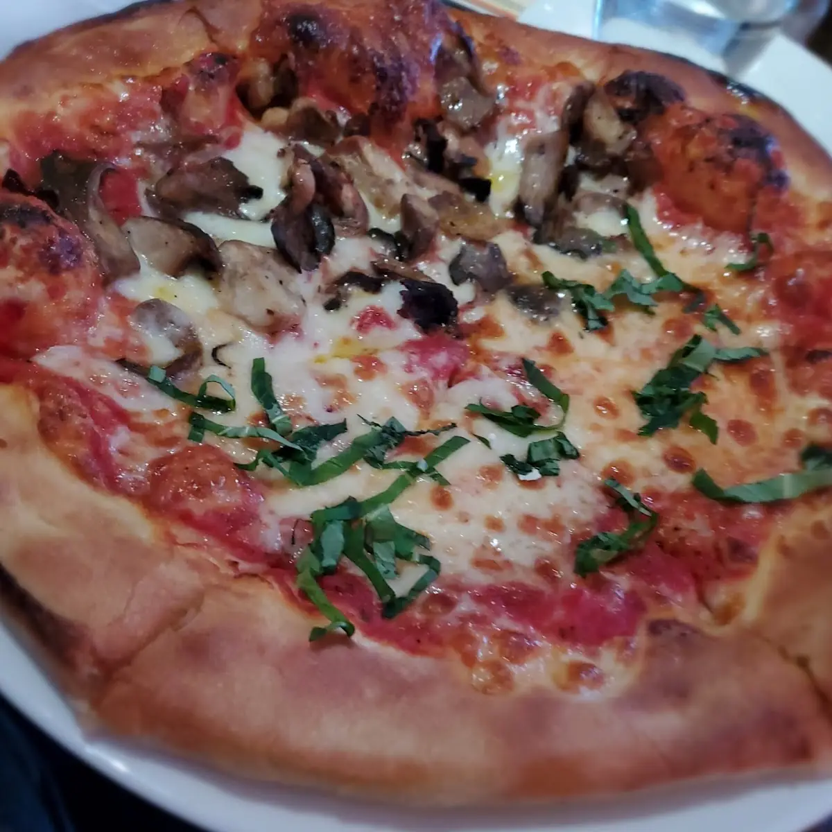 Margherita Pizza