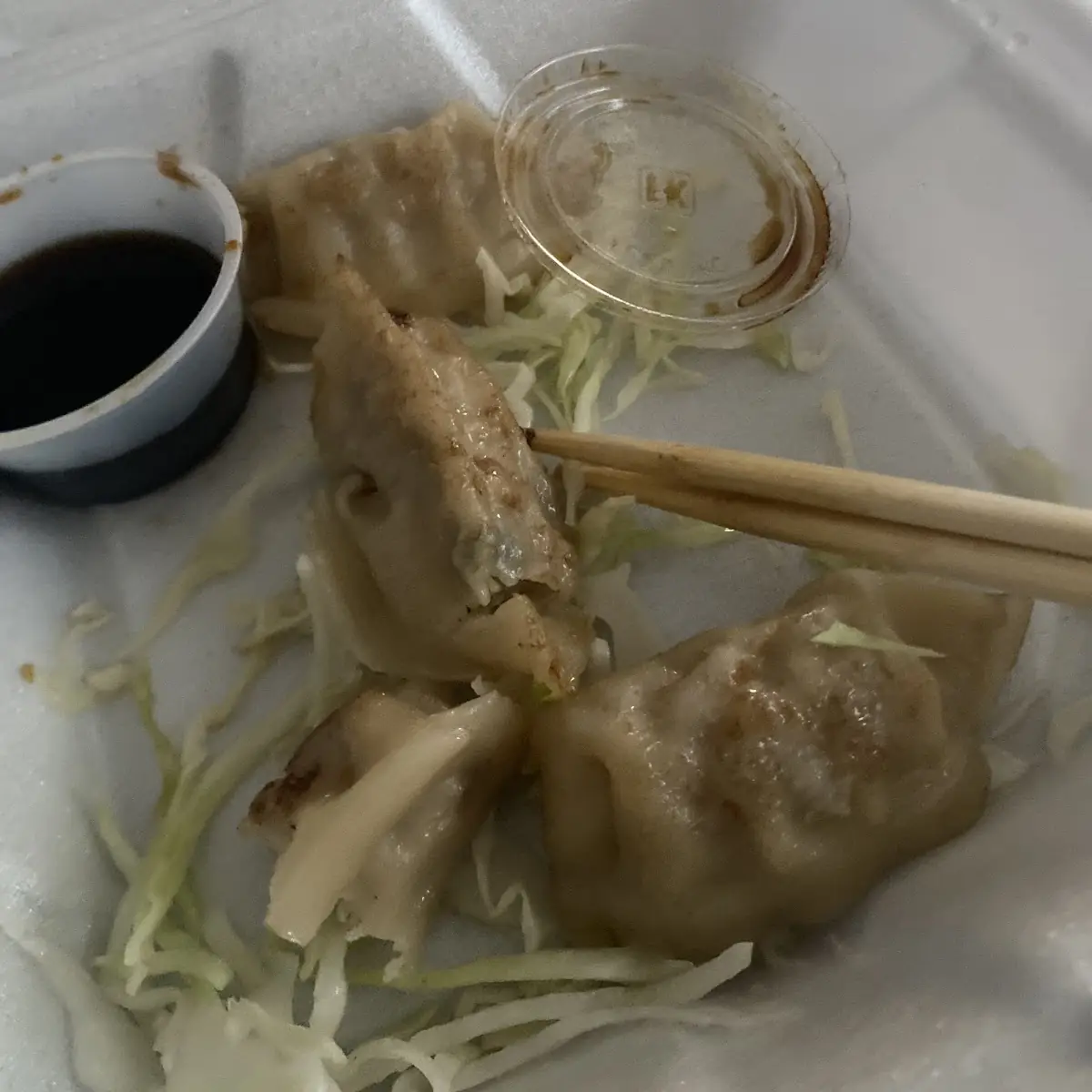 Pan Fried Pork Dumplings