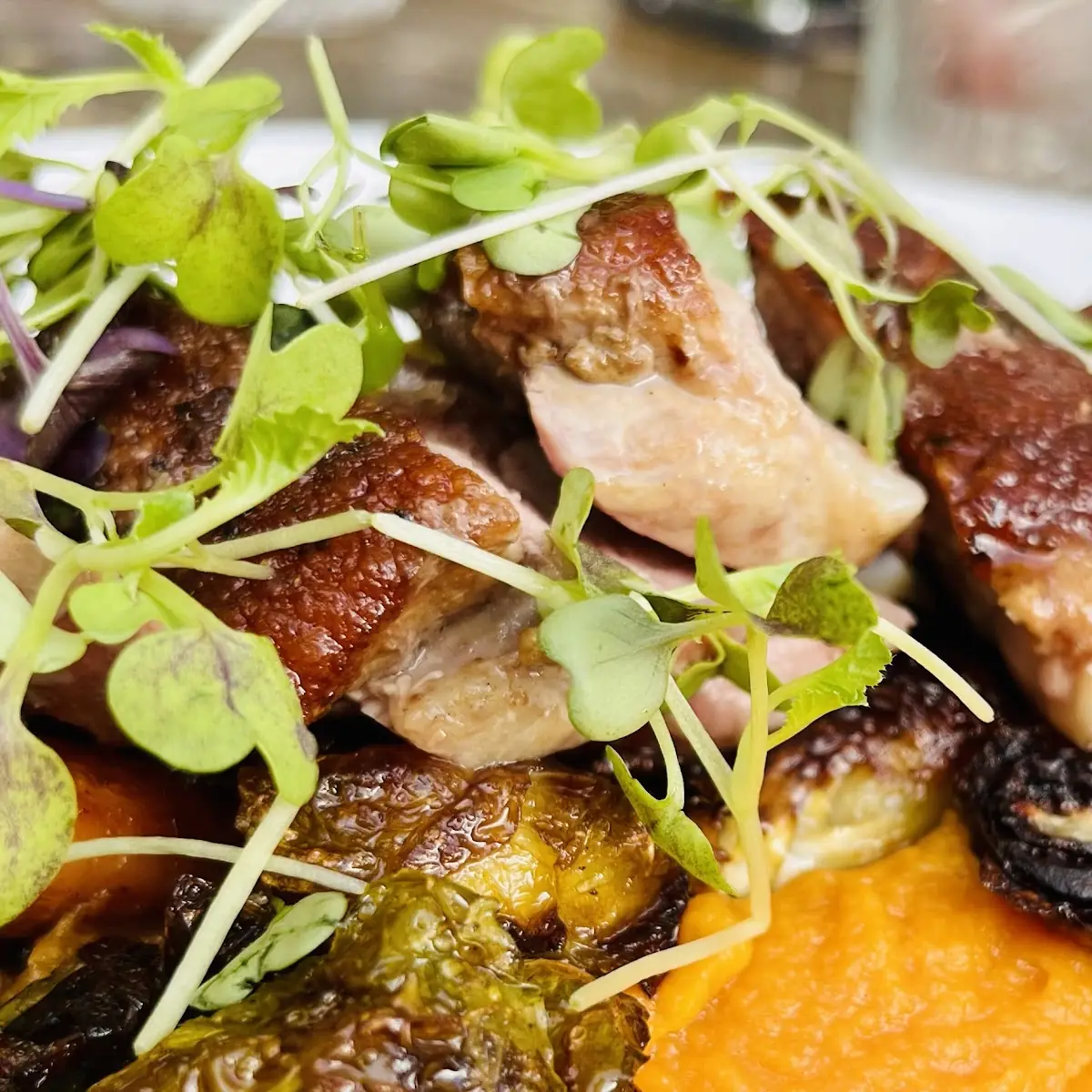 Duck Breast