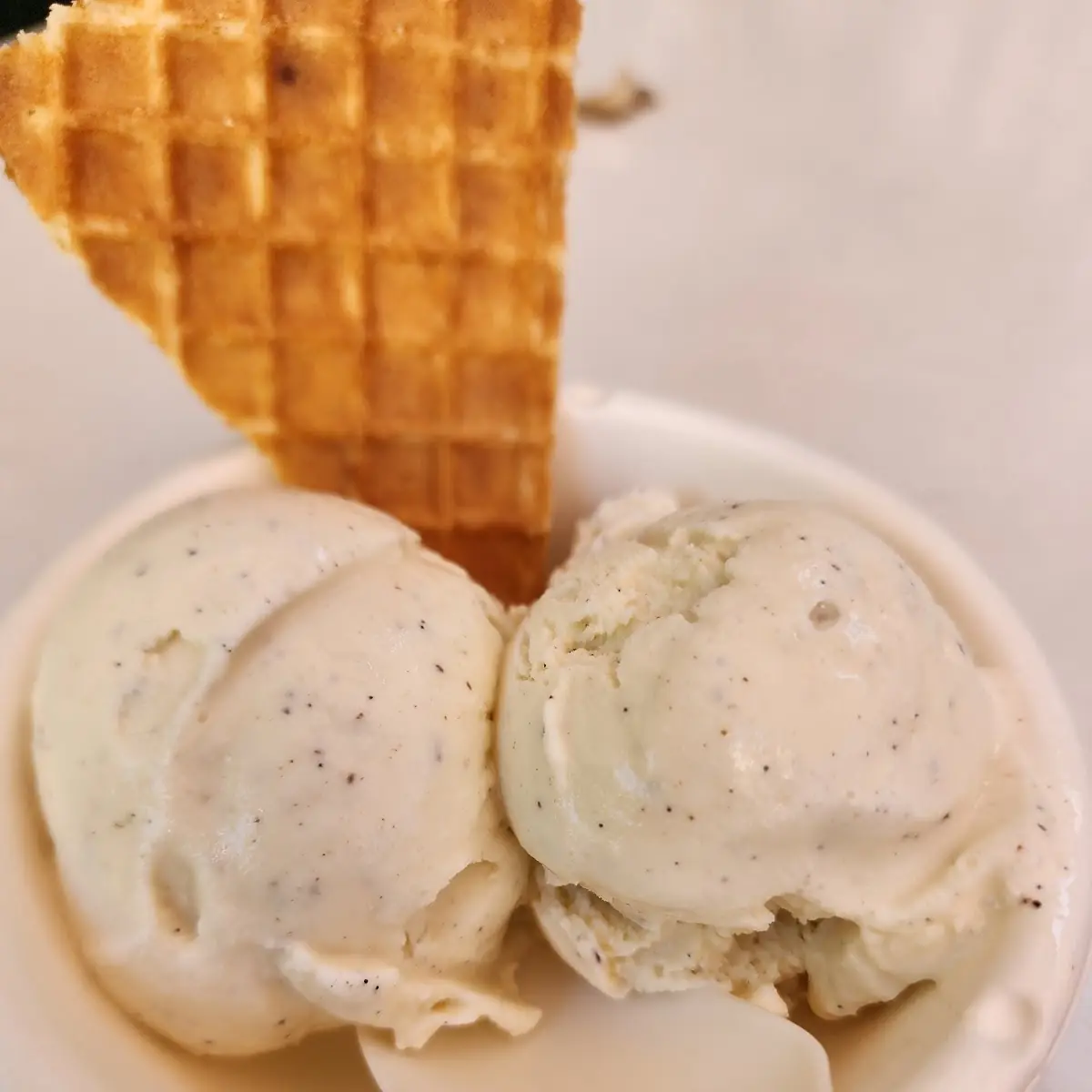 Vanilla Bean