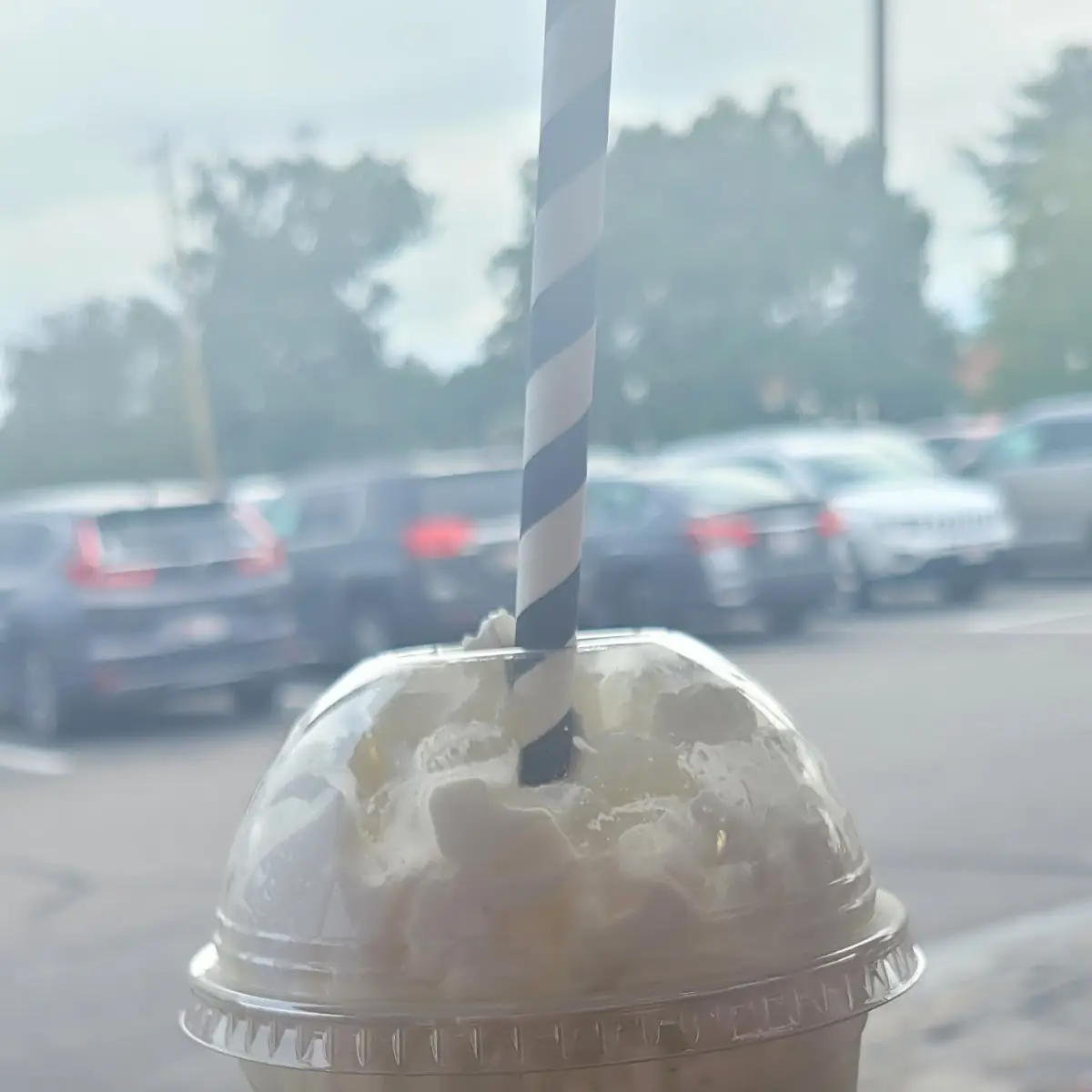 Green Tea Milkshake