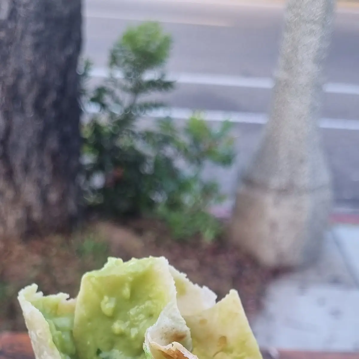 Bean Burrito