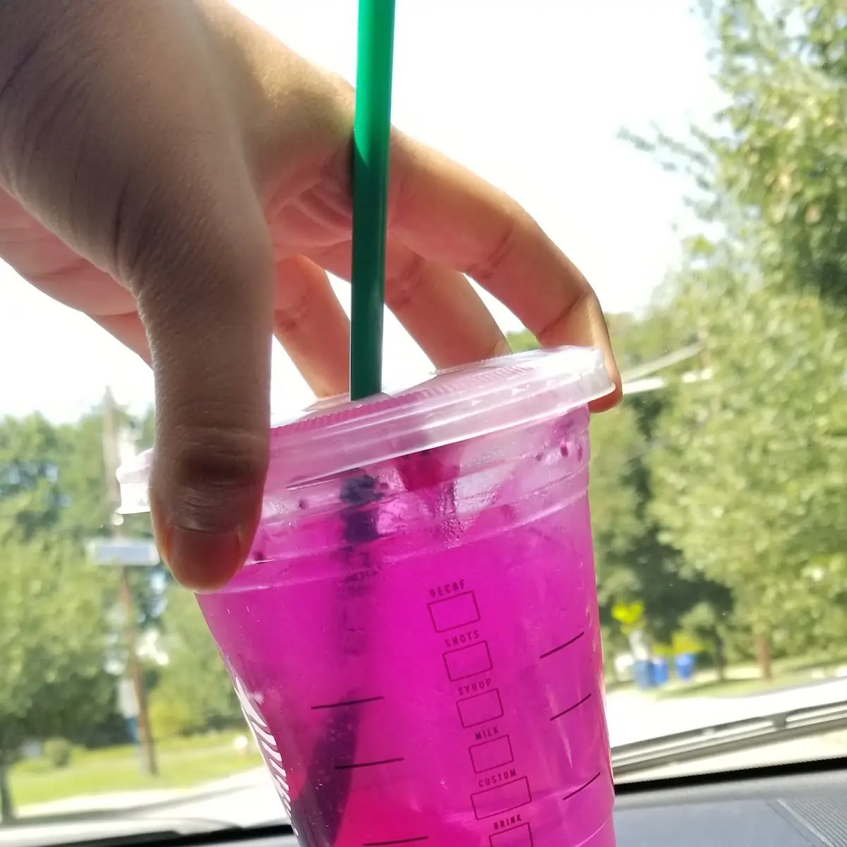 Dragon Fruit