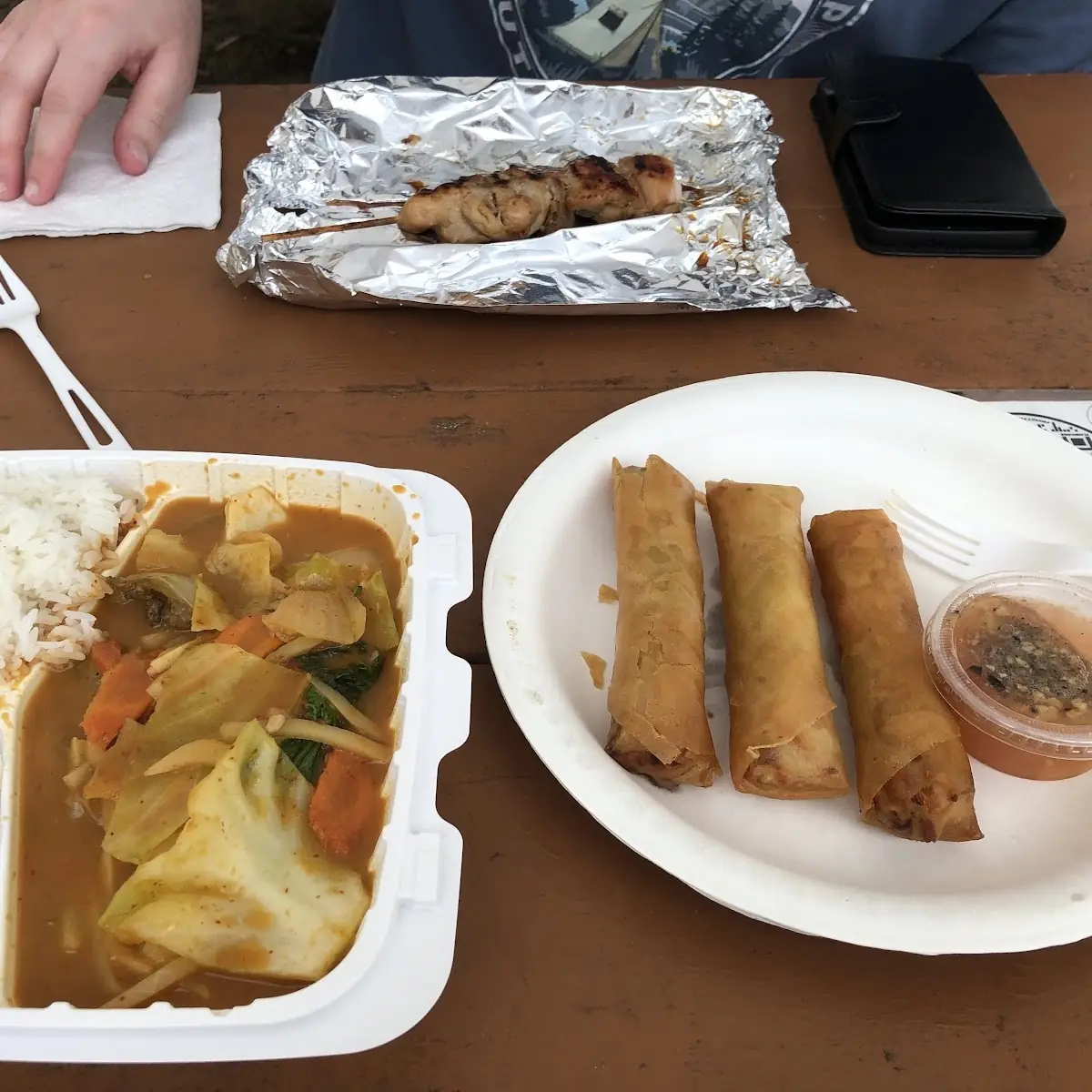 Massaman Curry and Spring Rolls