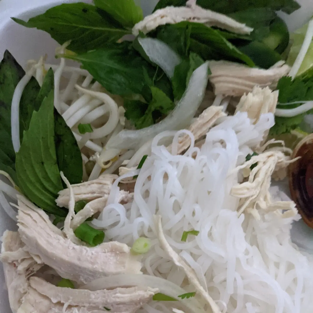 Chicken Pho