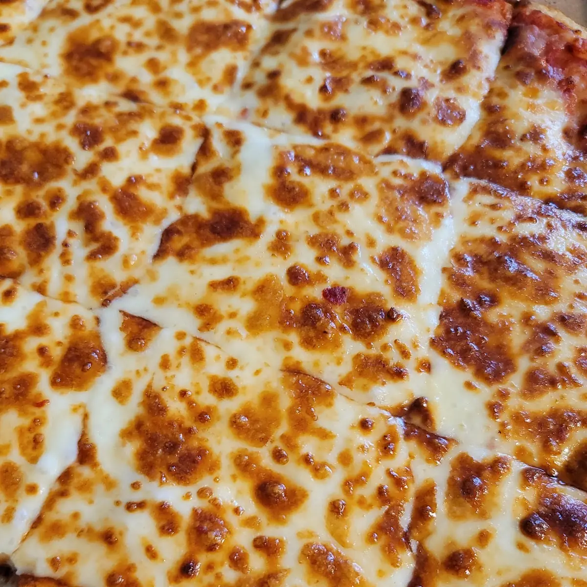 Cheese Pizza