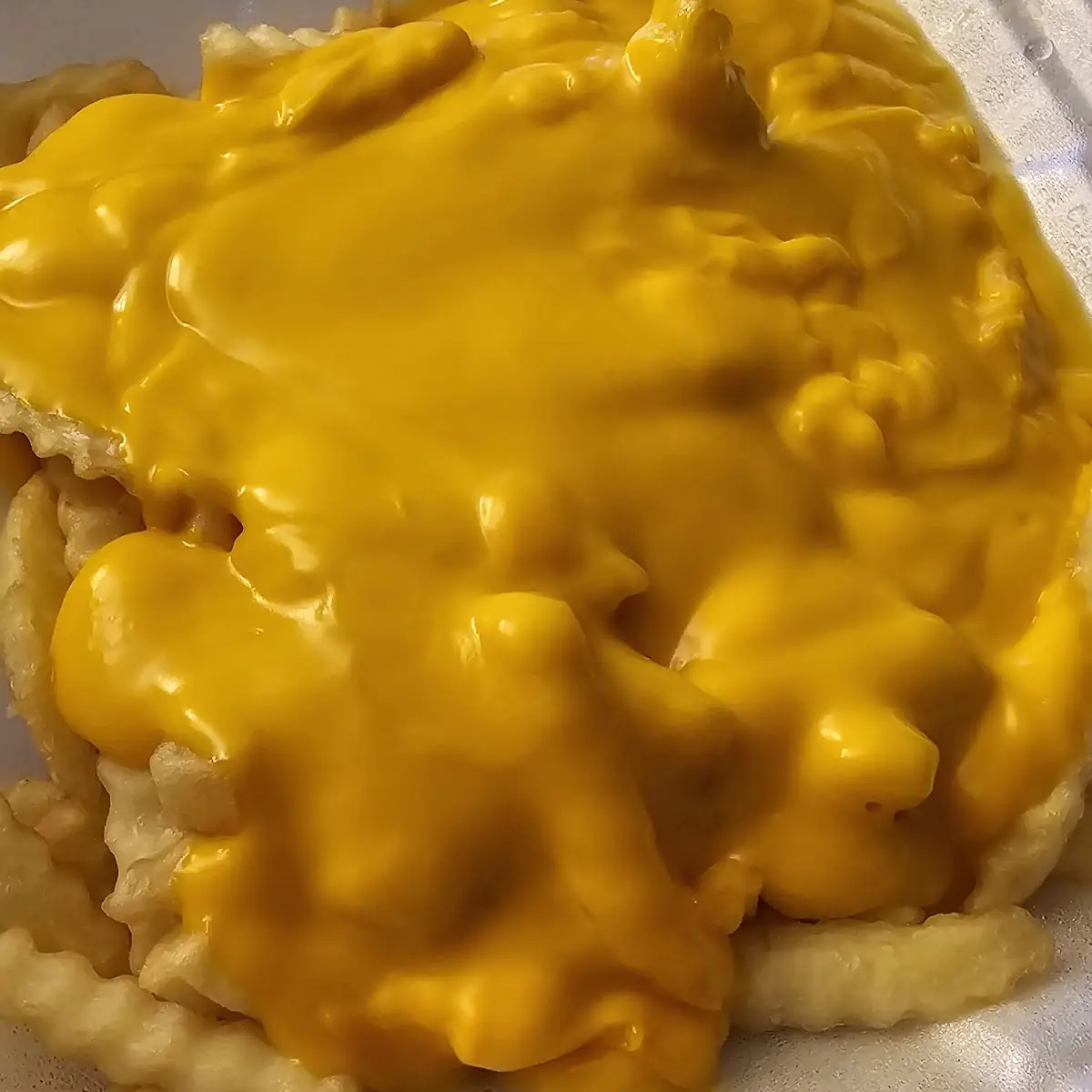 Cheese Fries