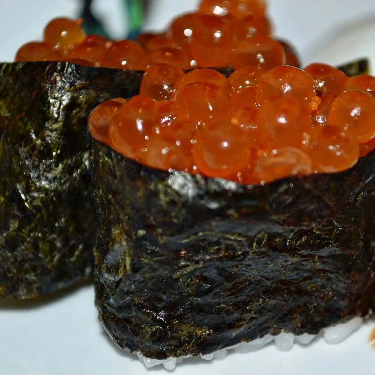 Sea Urchin Uni