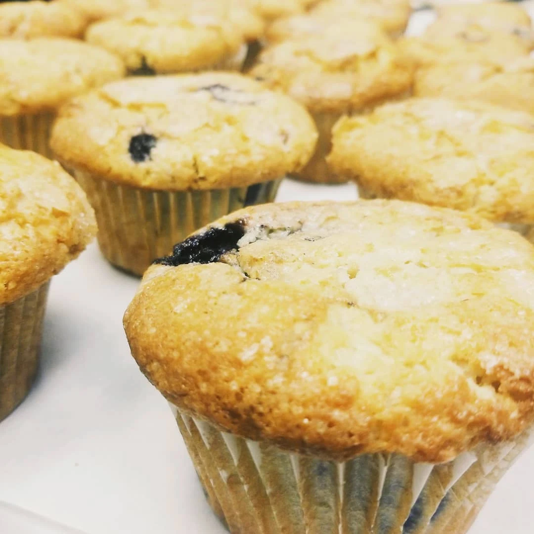 Blueberry Muffin