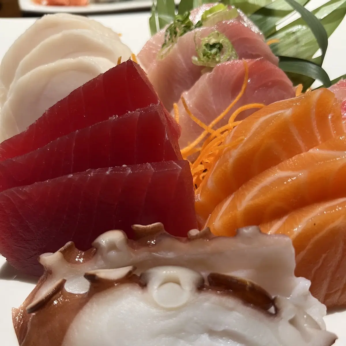 Sashimi