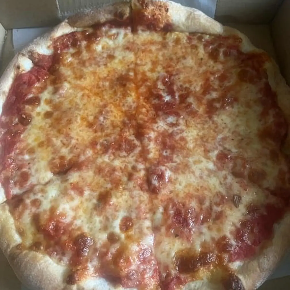 Plain Cheese Pizza