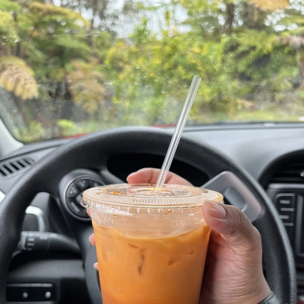 Thai Iced Tea with Straw