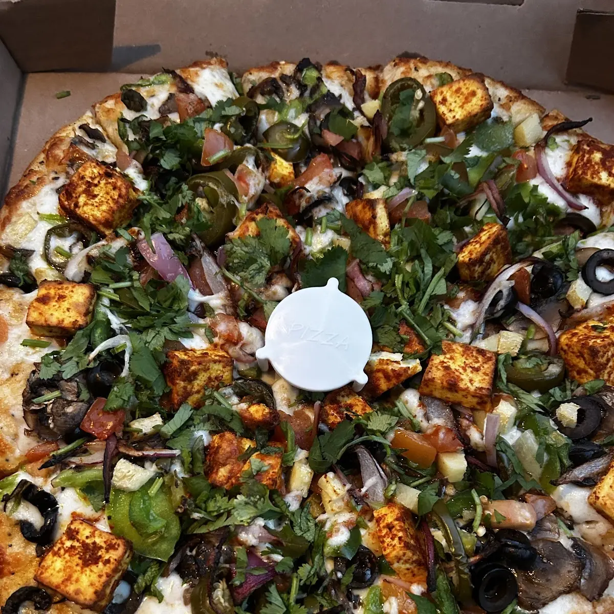 Indian Style Wild Veggie Pizza