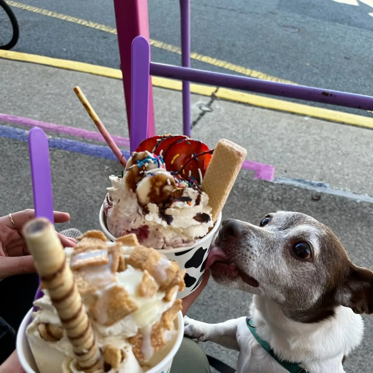 Hot Fudge