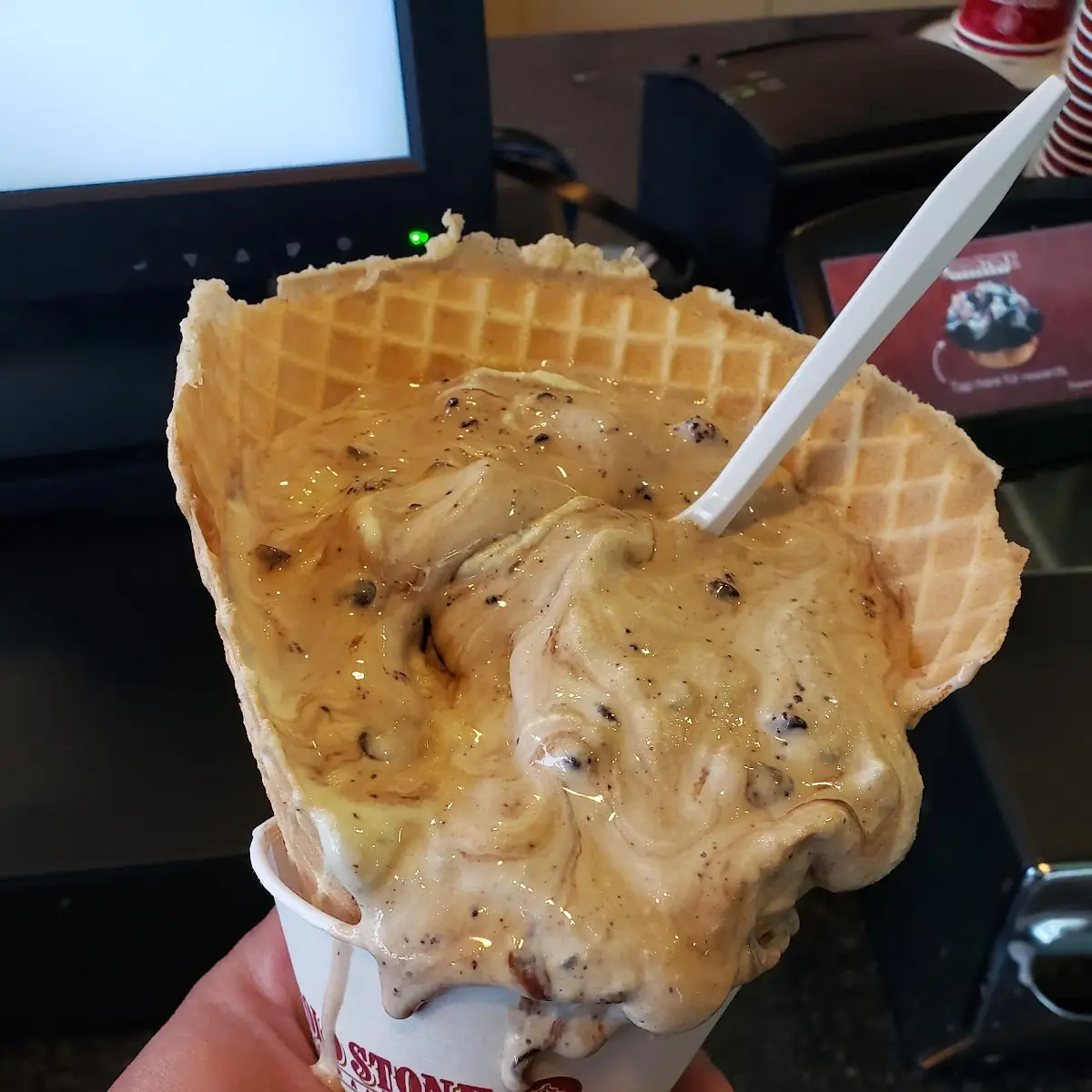 Mint Mint Chocolate Chip