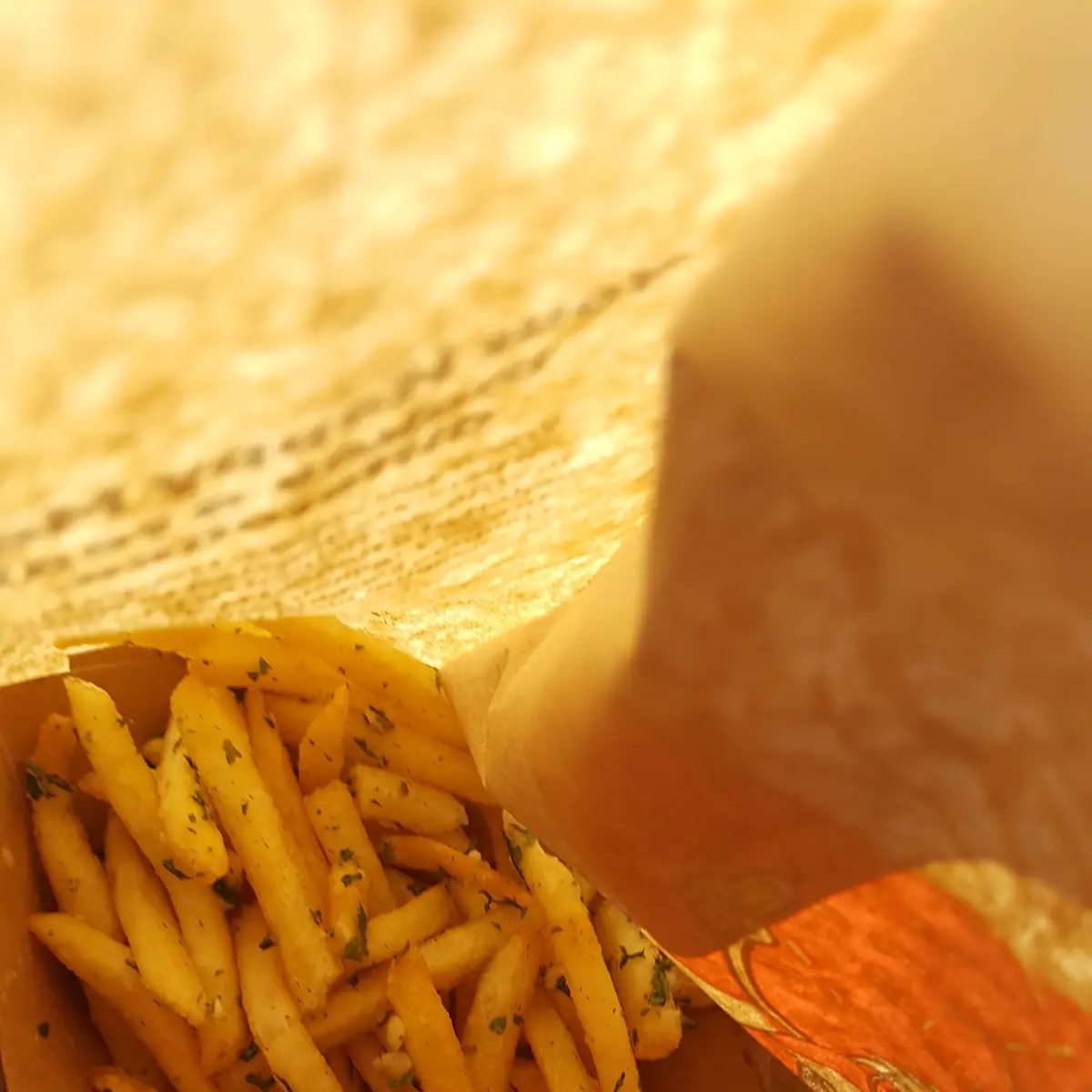 World Famous Fries