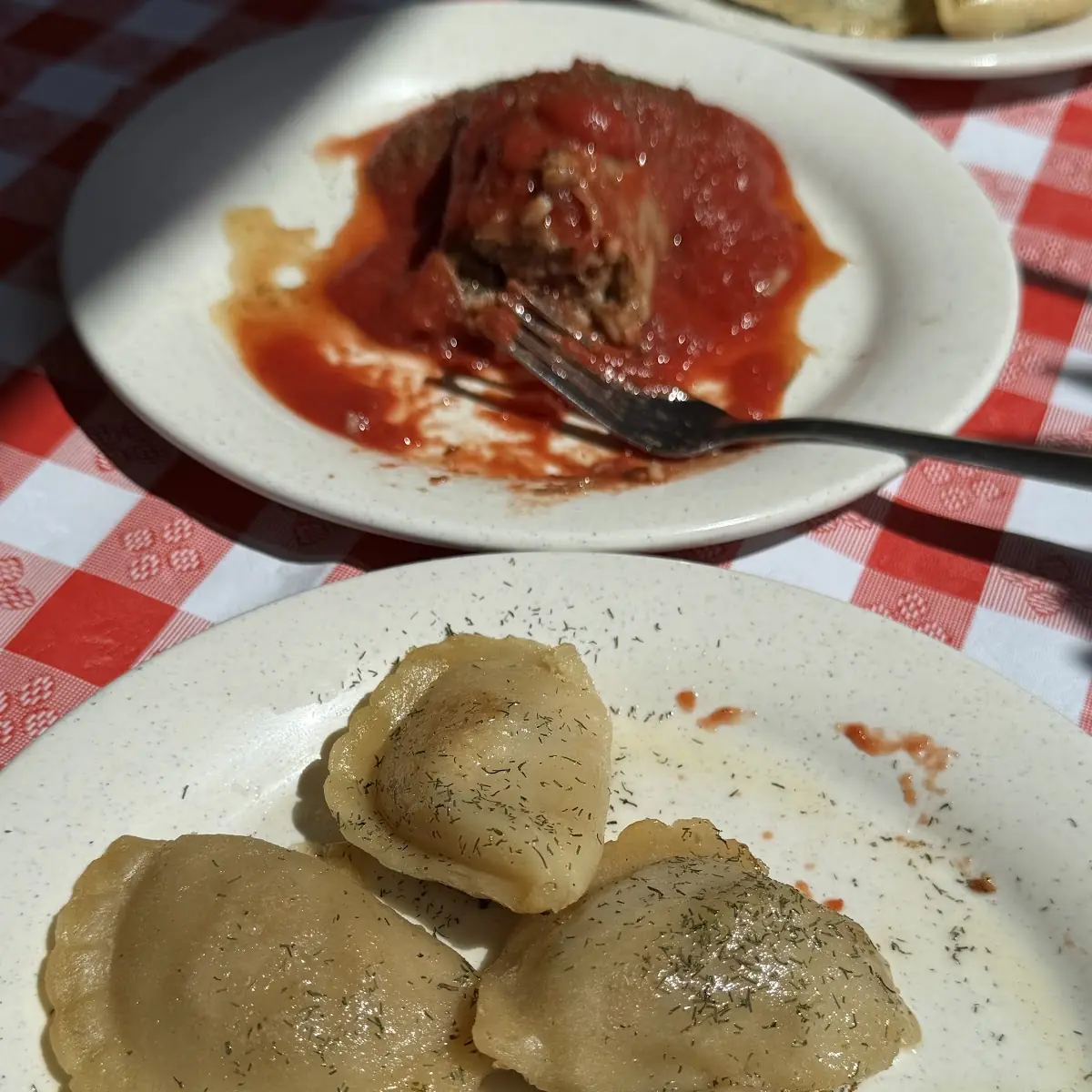 Pan Fried Pierogi with Onions