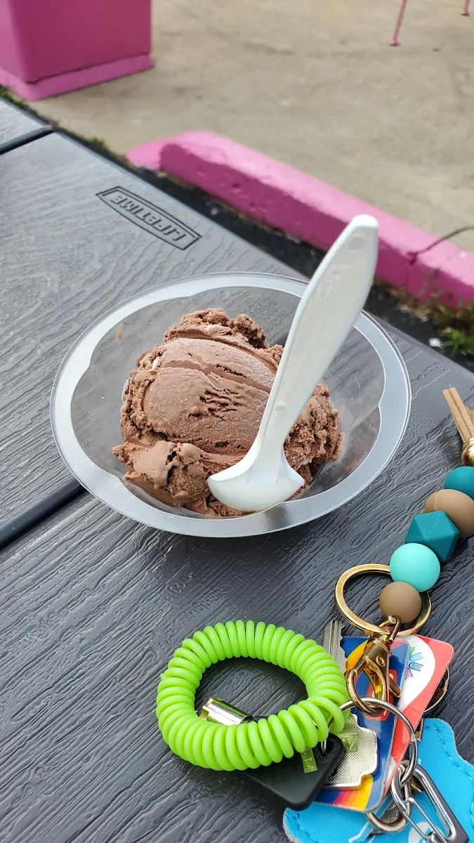 Dairy Free Chocolate Ice Cream