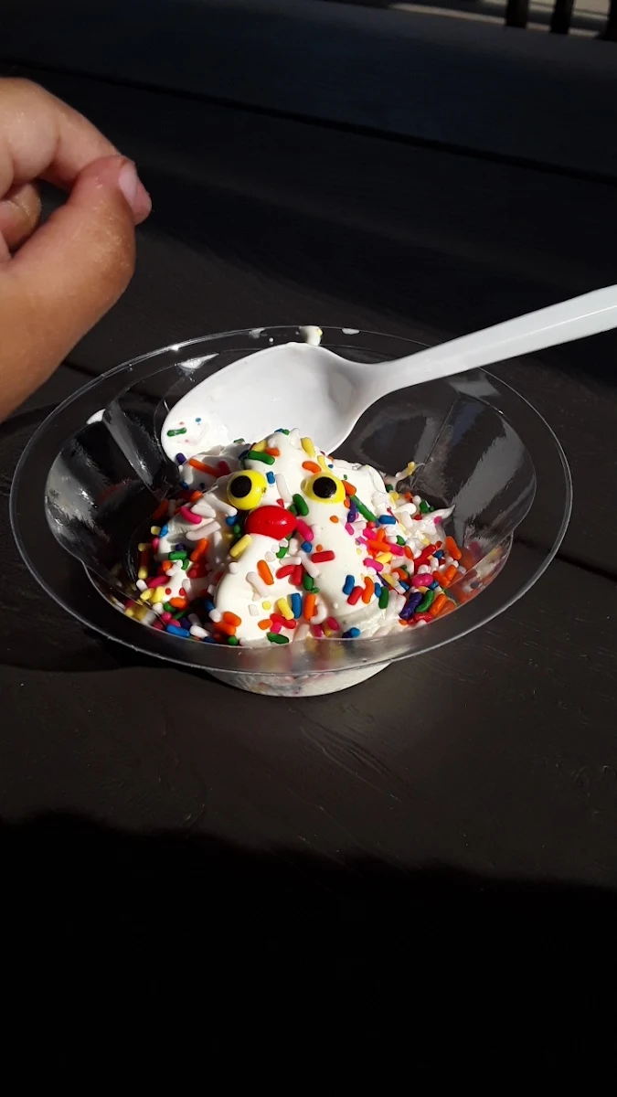 Vanilla Ice Cream