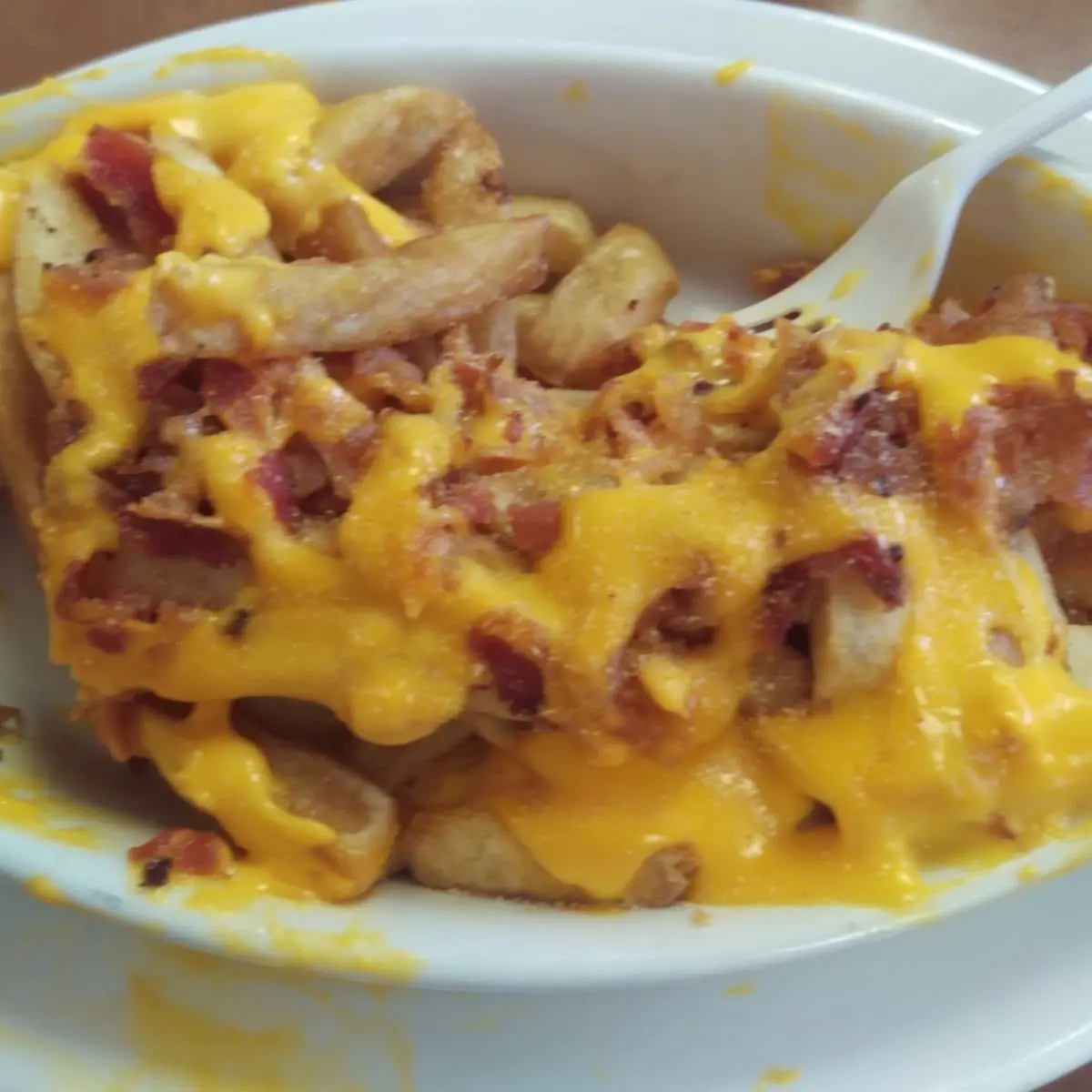 Bacon Cheddar Frier