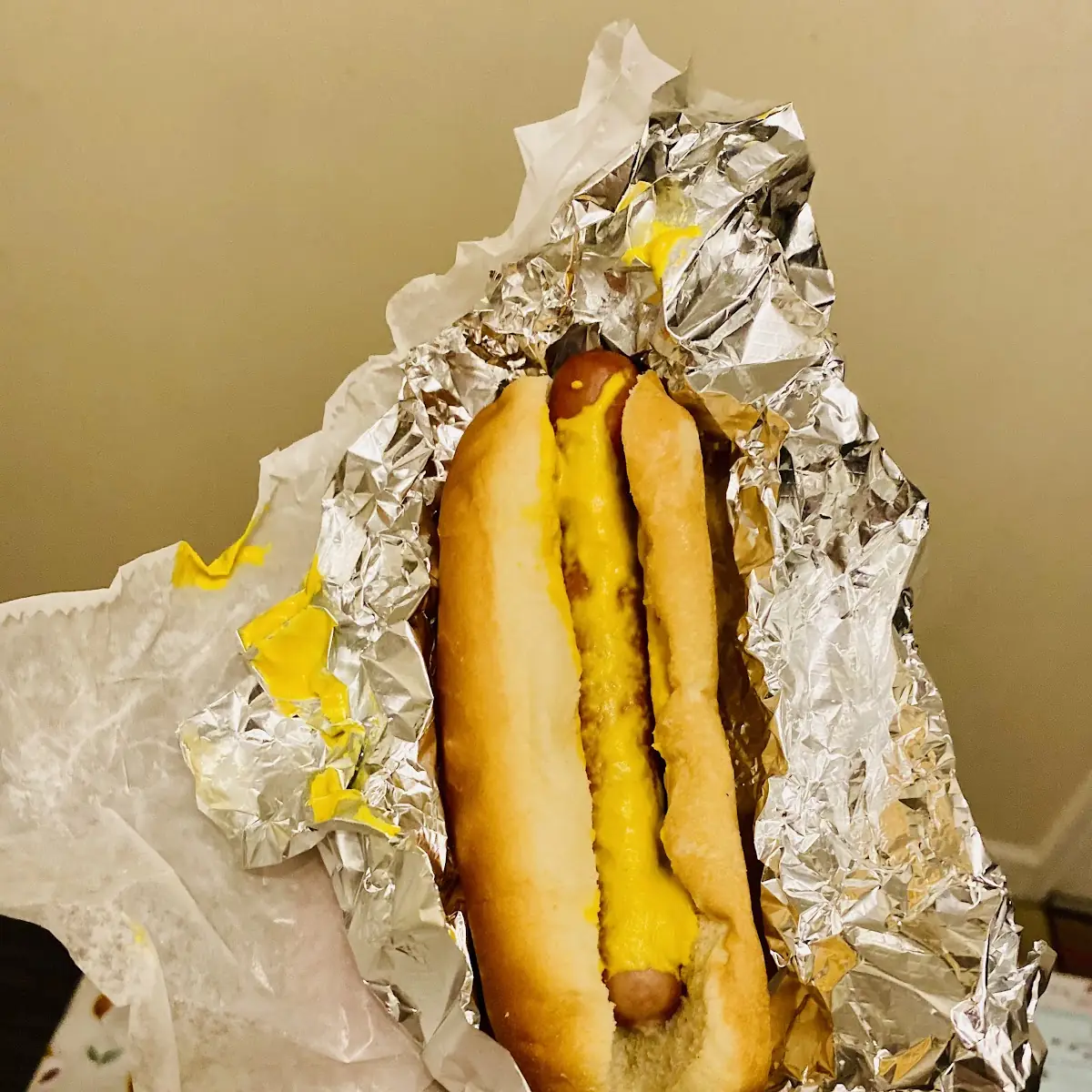 Hot Dog