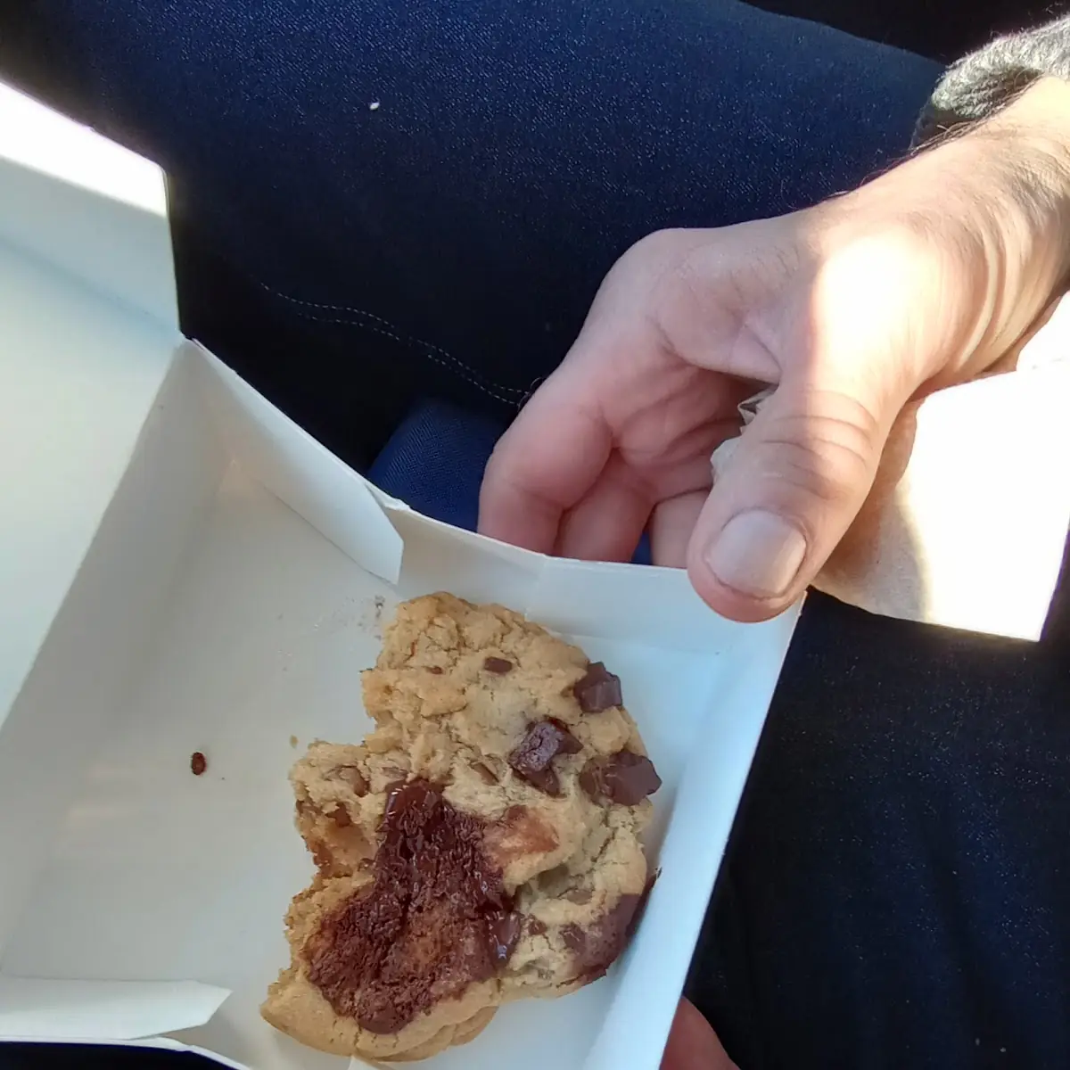 Double Chocolate Chip Cookie Dough
