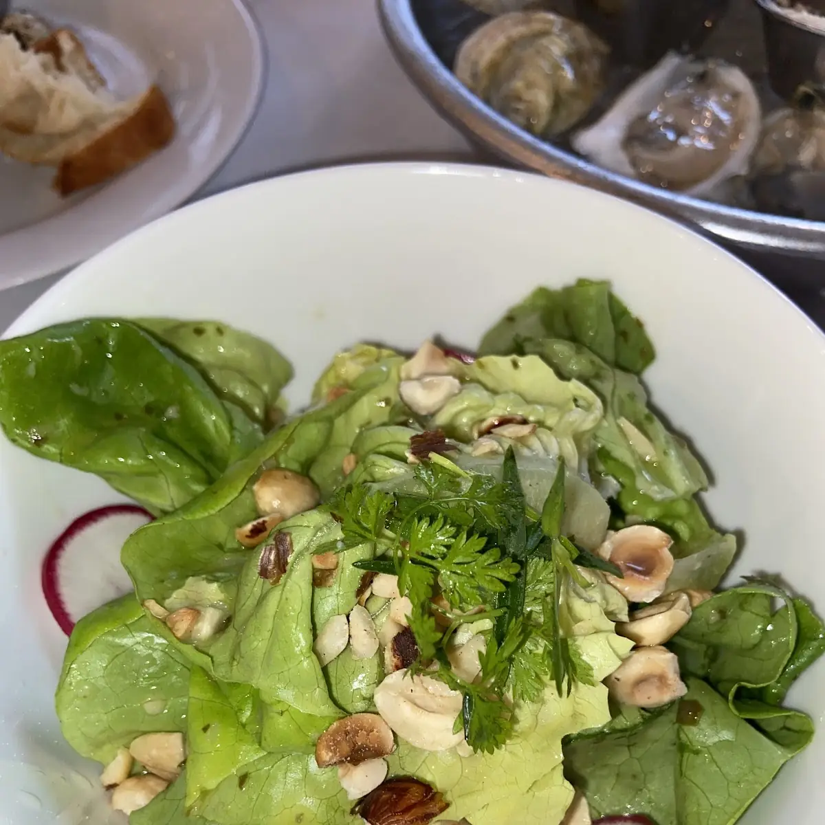 Arugula Fennel Salad