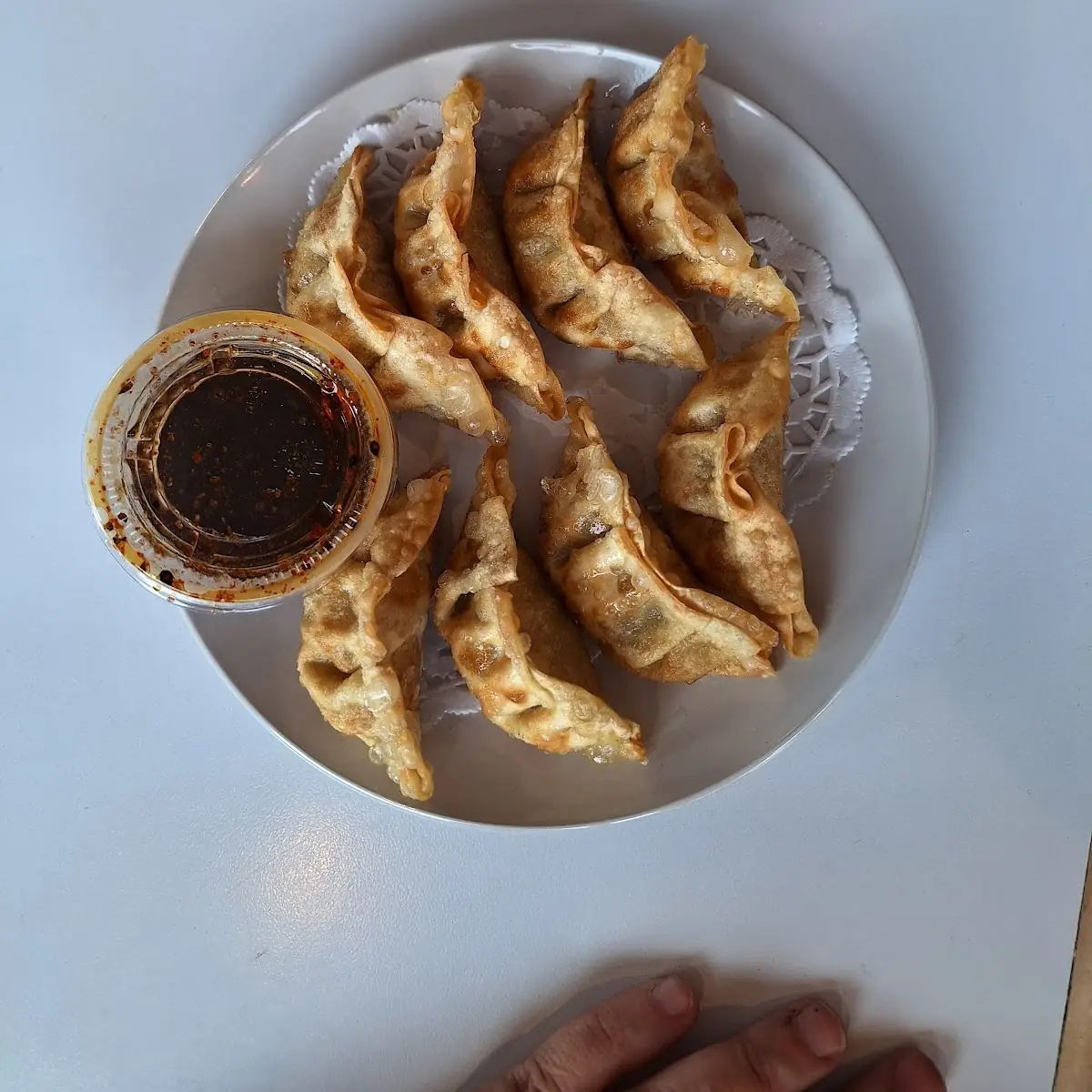 Gyoza Pot Stickers