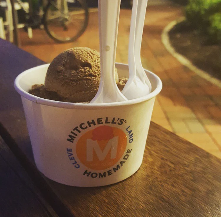 Chocolate Ice Cream