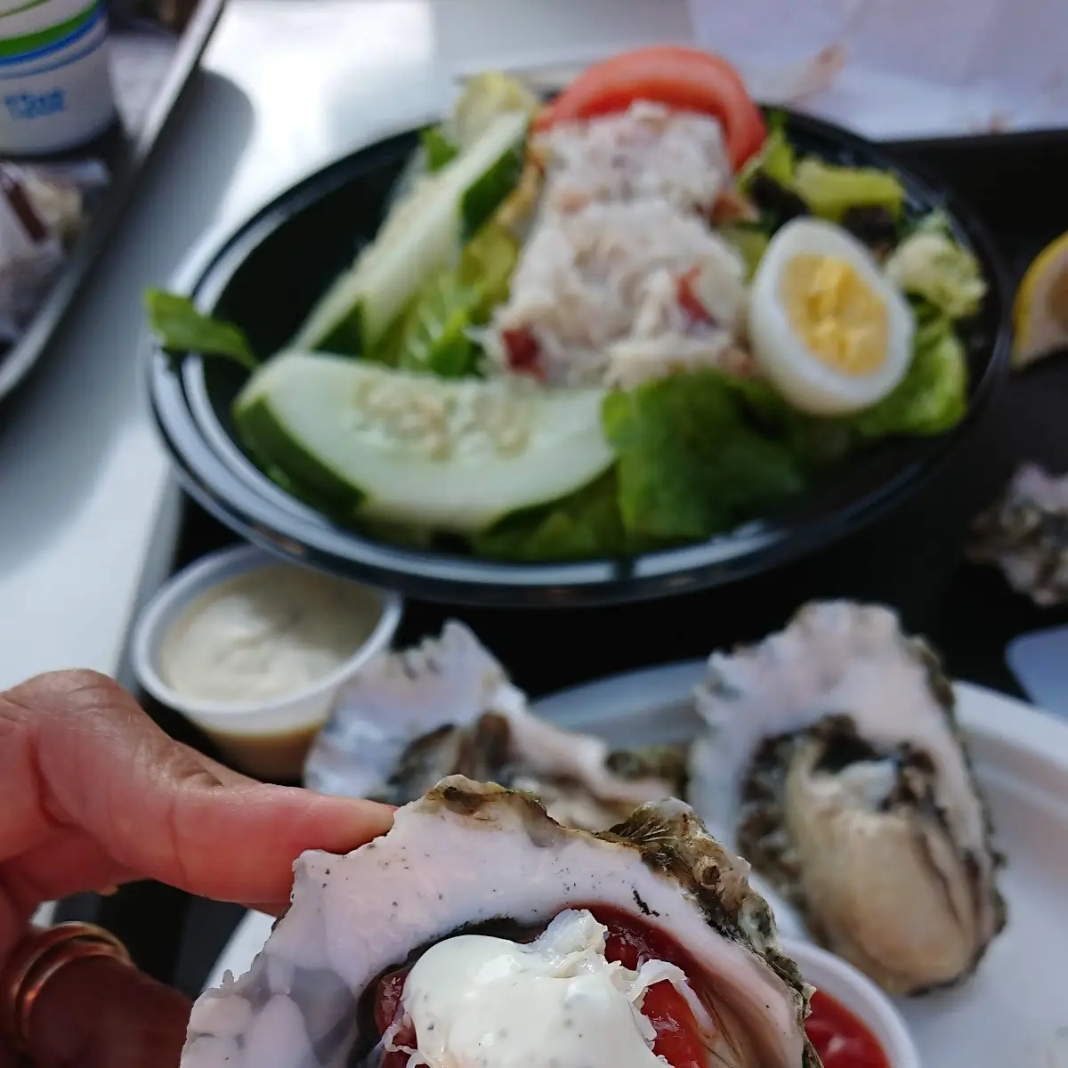 Fresh Oysters