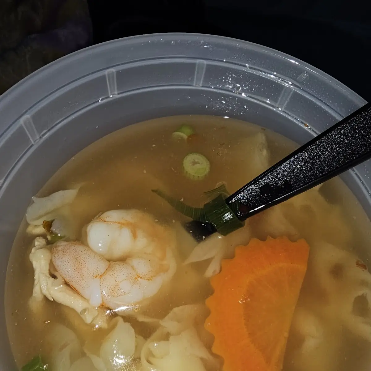 Wonton Soup