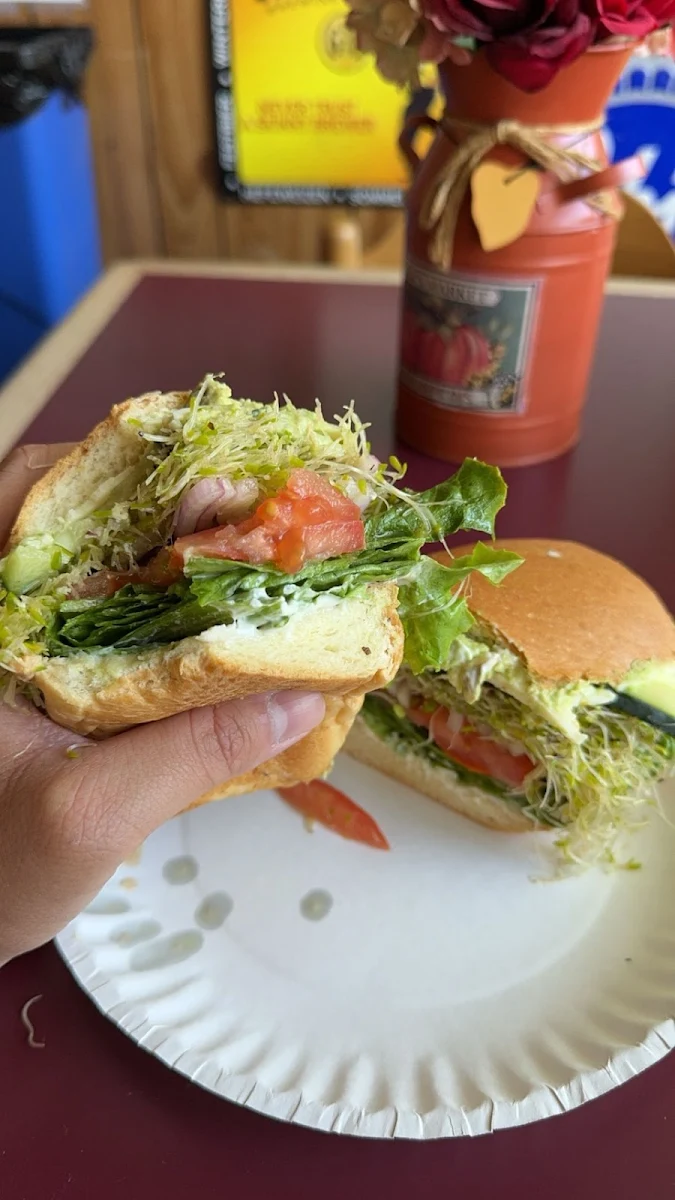 Veggie Sandwich