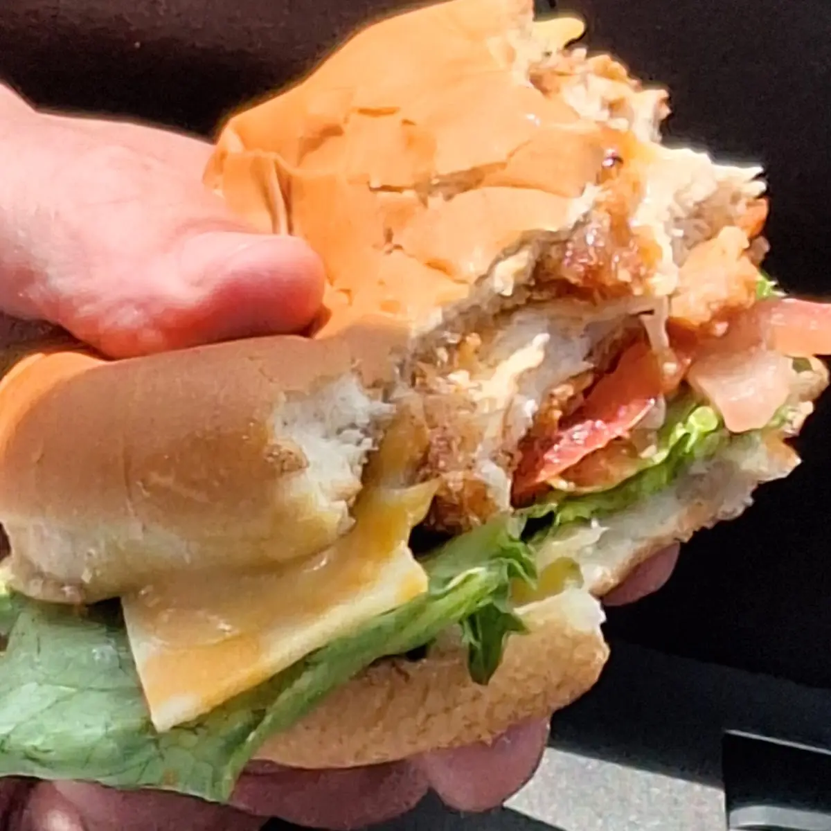 Spicy Deluxe Sandwich
