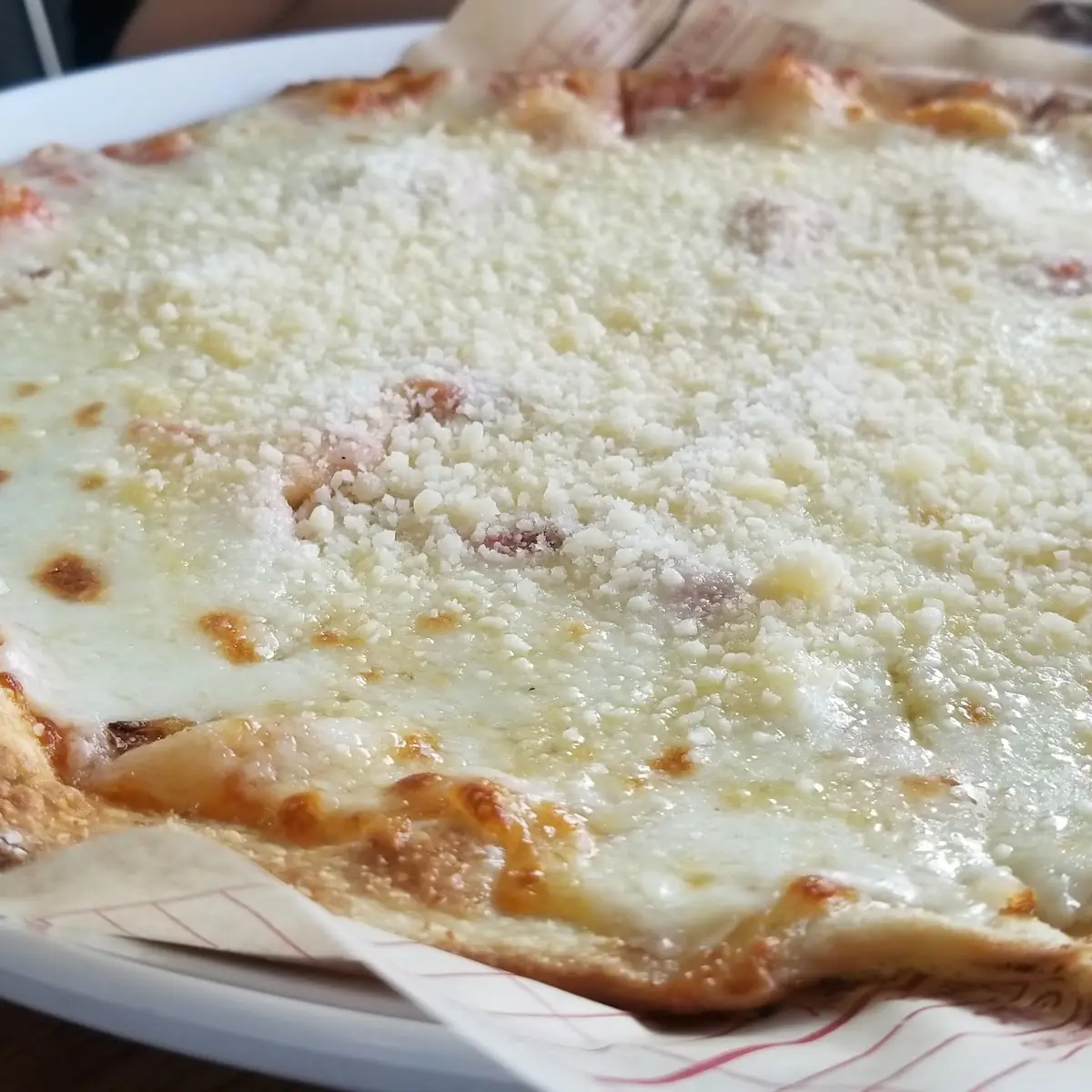Mozzarella Cheese Pizza