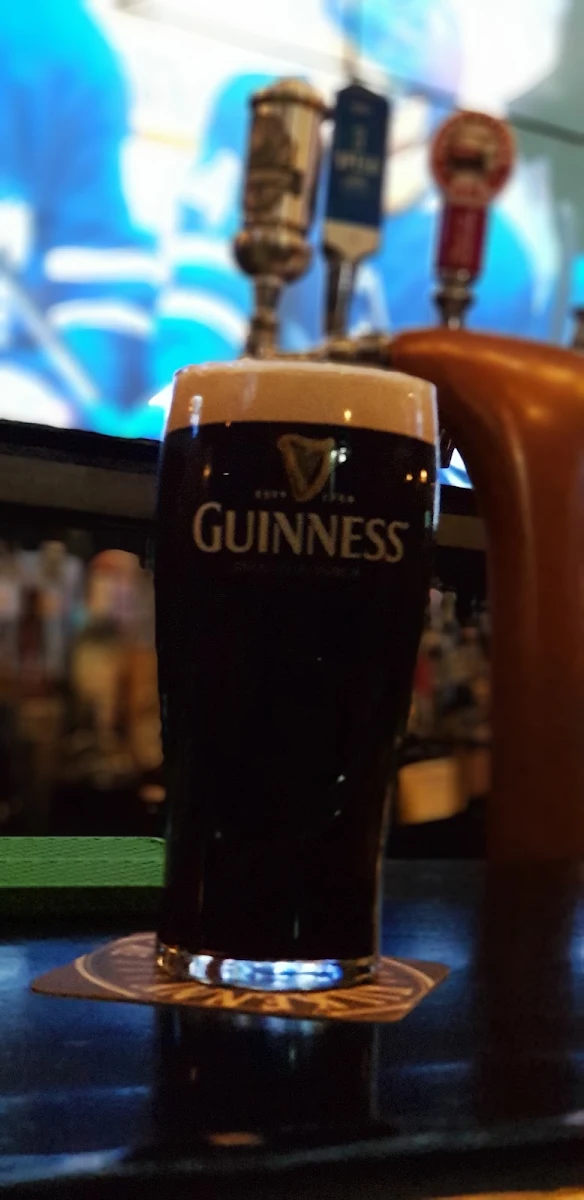 Guinness Onion Soup