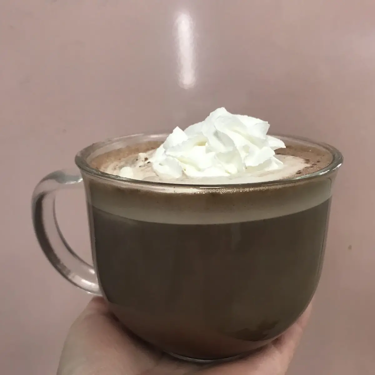 Double Chocolate Muffin