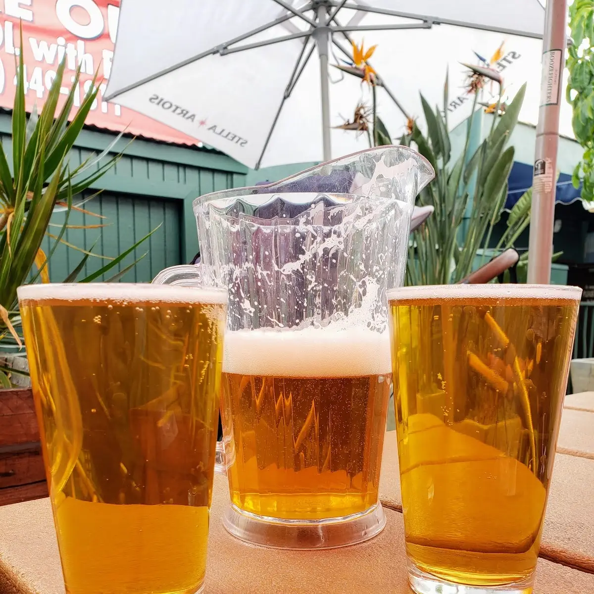 Madewest Brewing Pale Ale