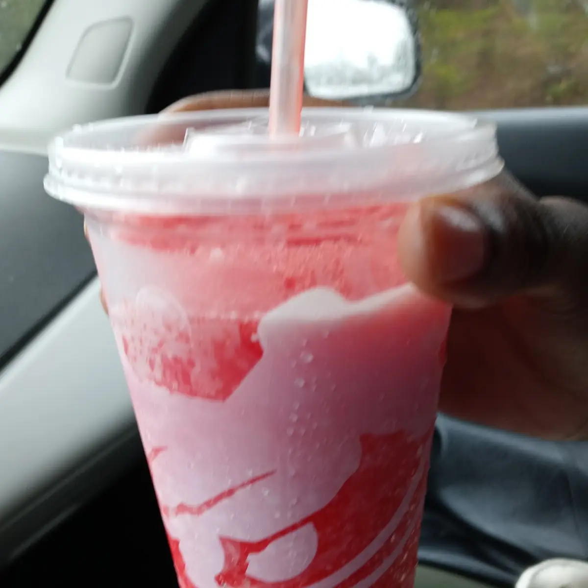 Frozen Wild Strawberry Lemonade