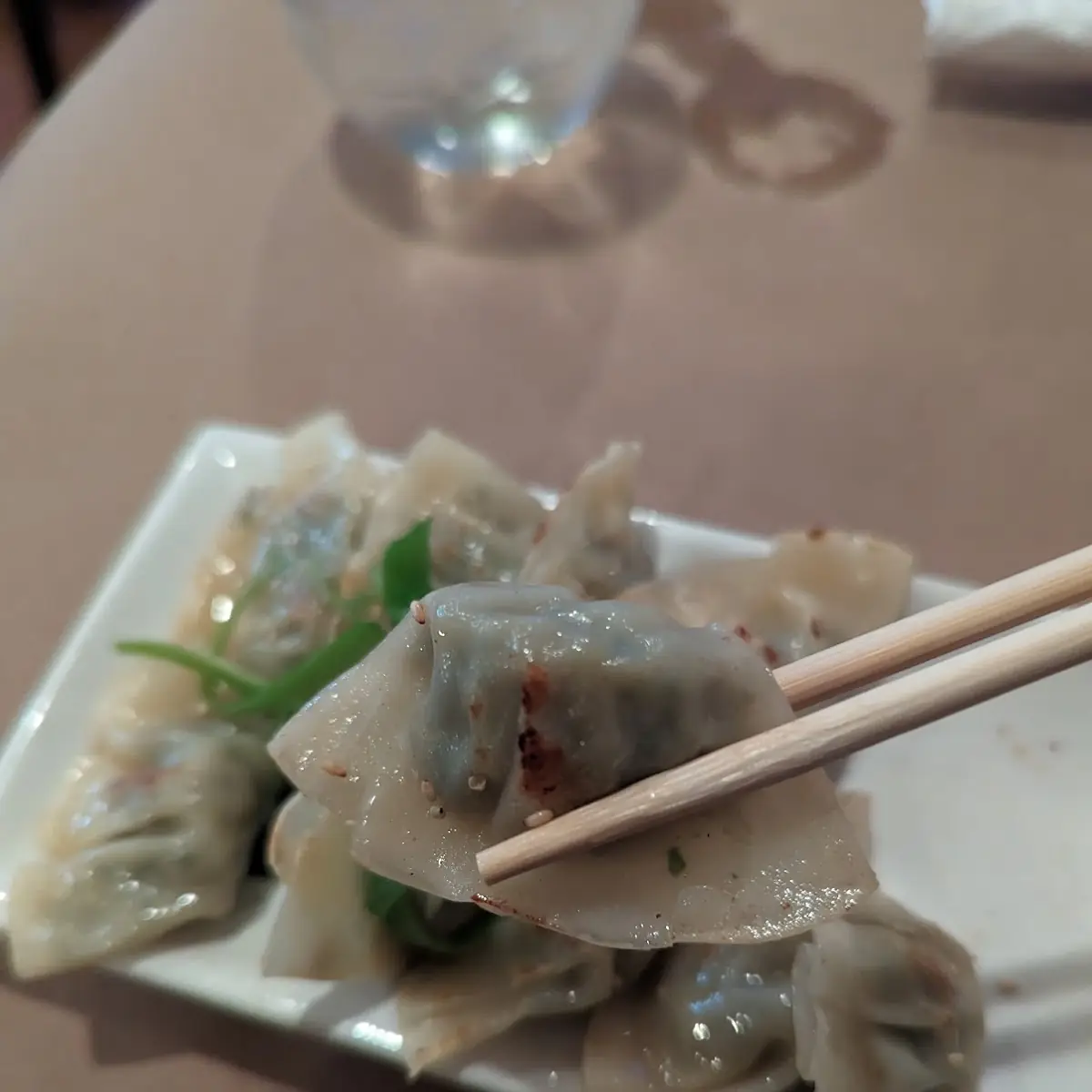 Chicken Dumplings