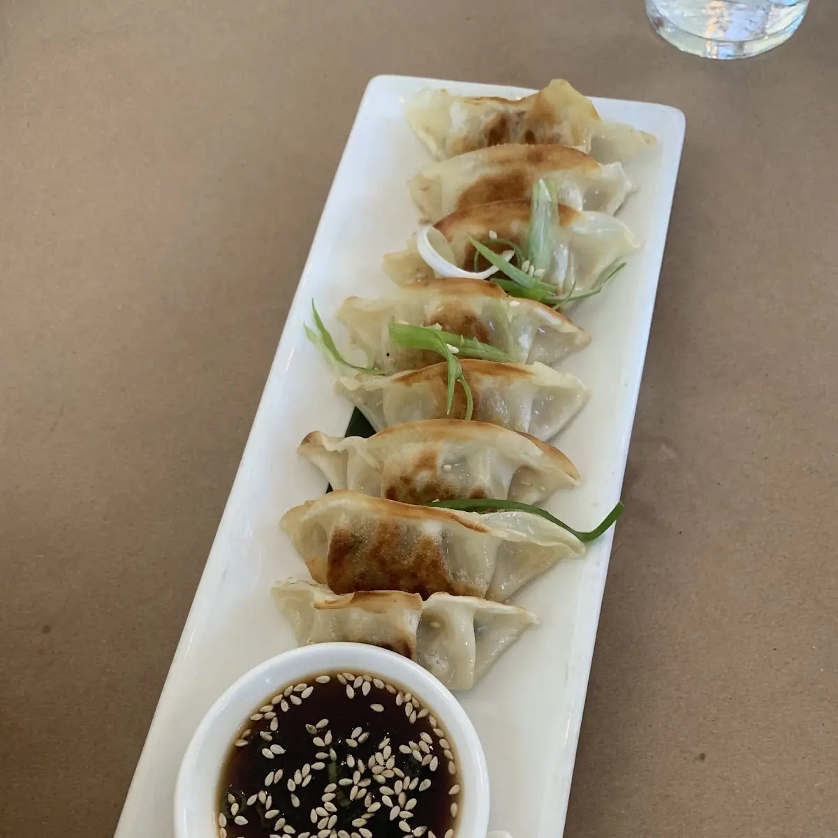 Veggie Steam Fried Dumplings