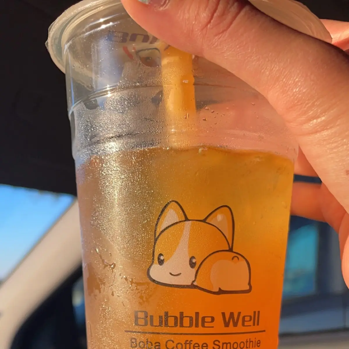 Mango Smoothie