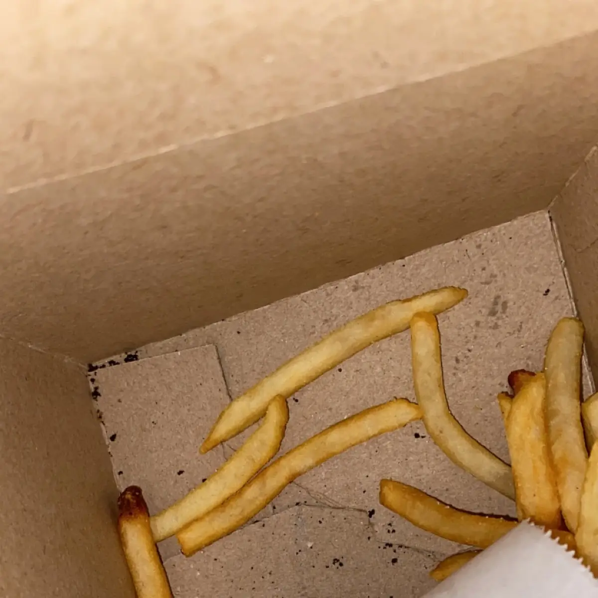 World Famous Fries