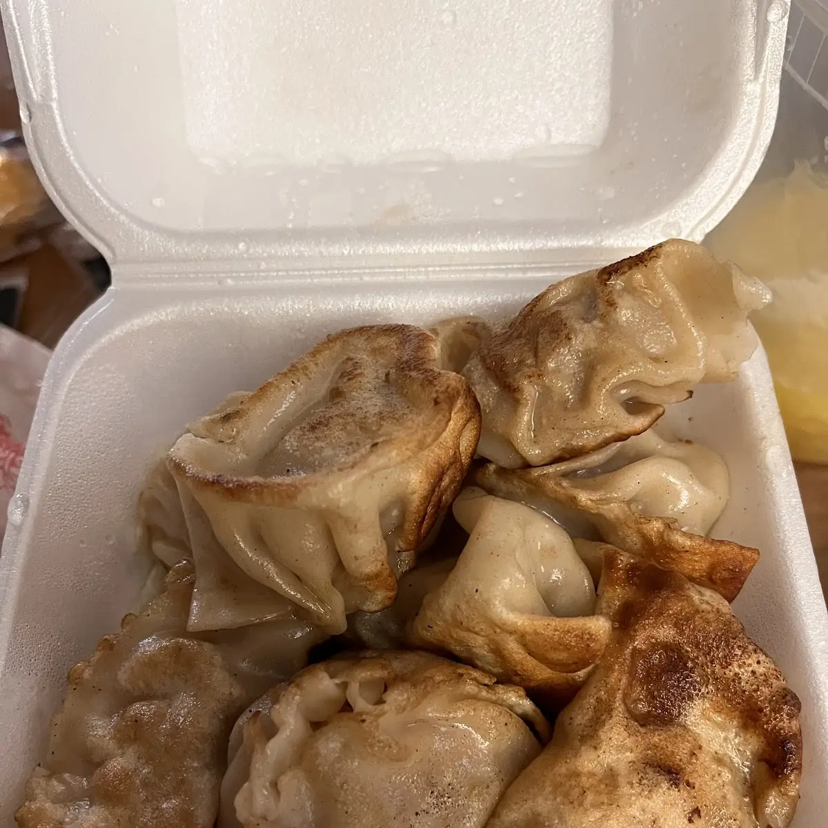 Pan-Fried Dumplings 8