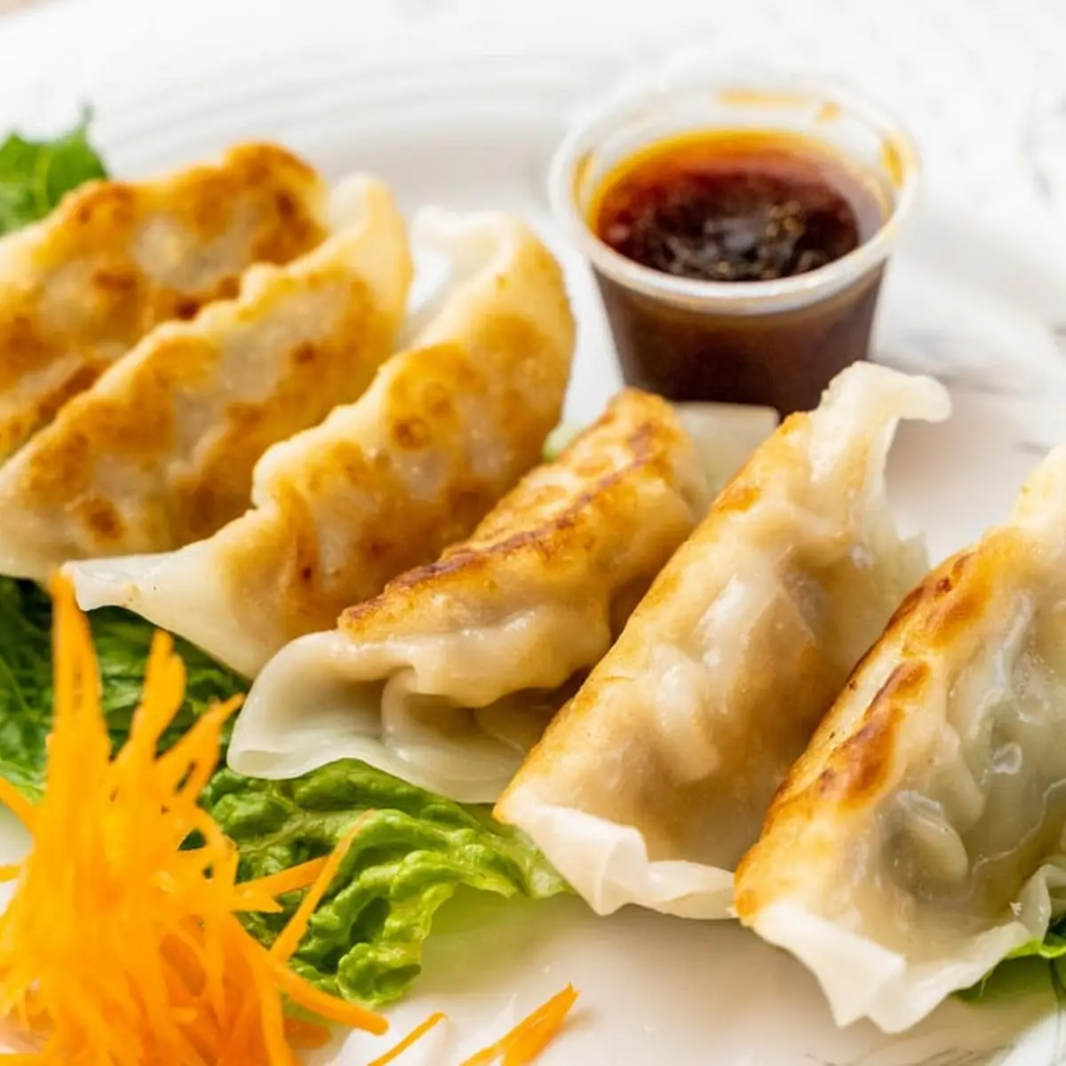 Steamed or Fried Dumplings 6 Pieces