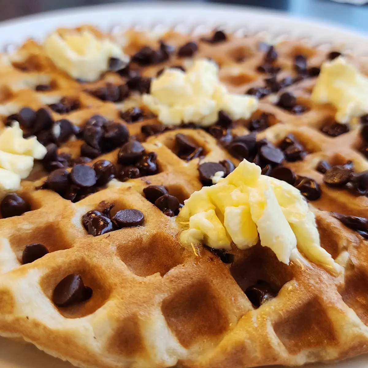 Chocolate Chip Waffle