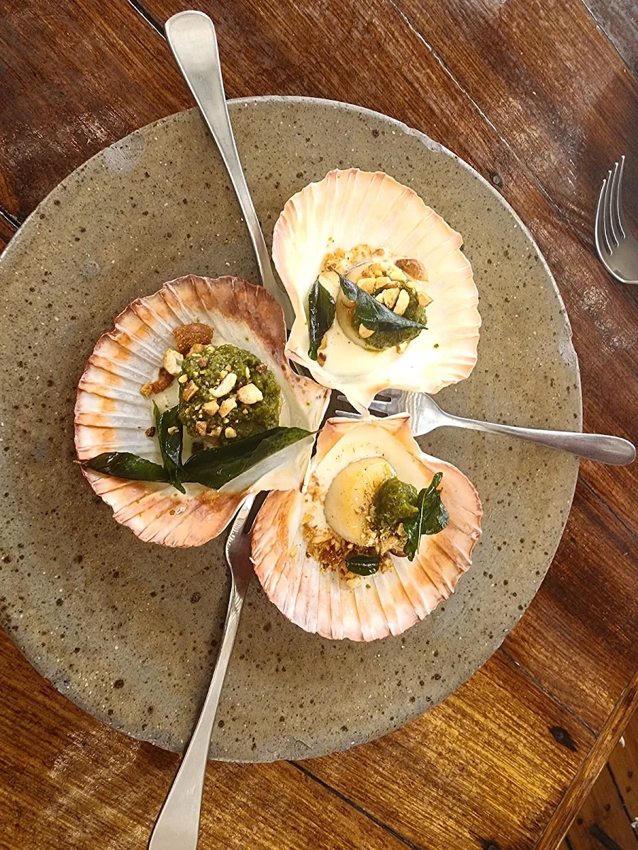 Grill Scallops, NOA Restaurant Cairns