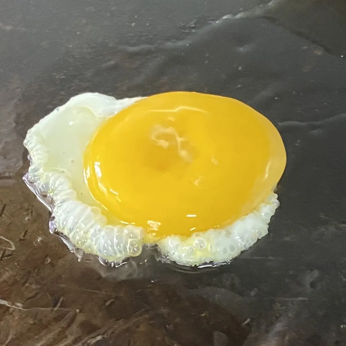Egg Sandwich