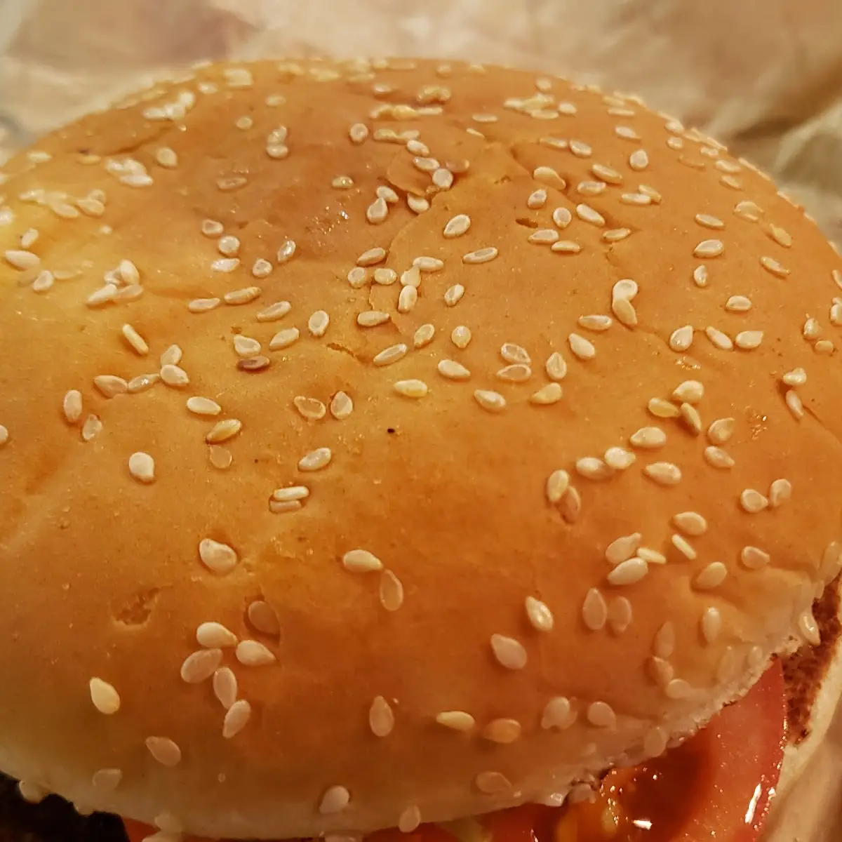 Sesame Seed Bun